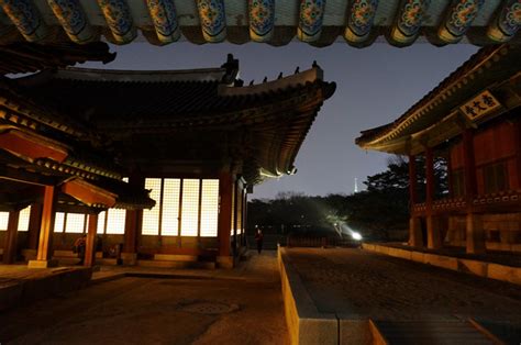 창경궁 야간개장, 달빛 아래 역사의 숨결을 느끼다